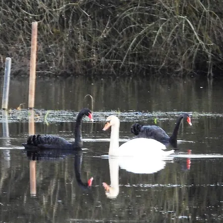 Anneks Ved Ostera ホームステイ