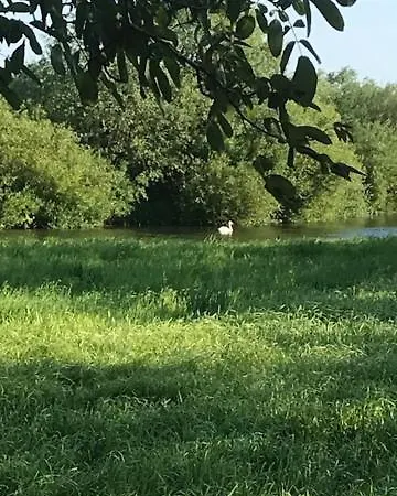 ホームステイ Anneks Ved Ostera