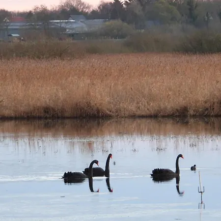 ホームステイ Anneks Ved Ostera *